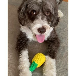 Meet your Posher, Krista